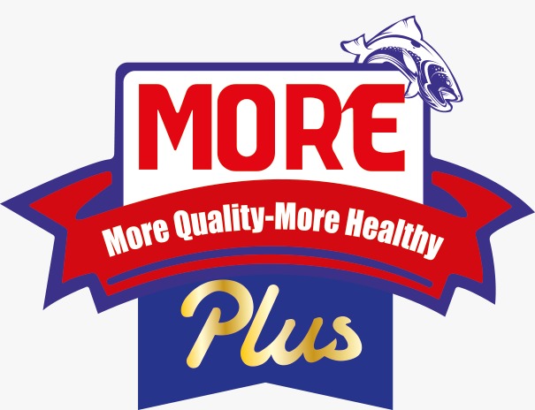 Partner logo 13